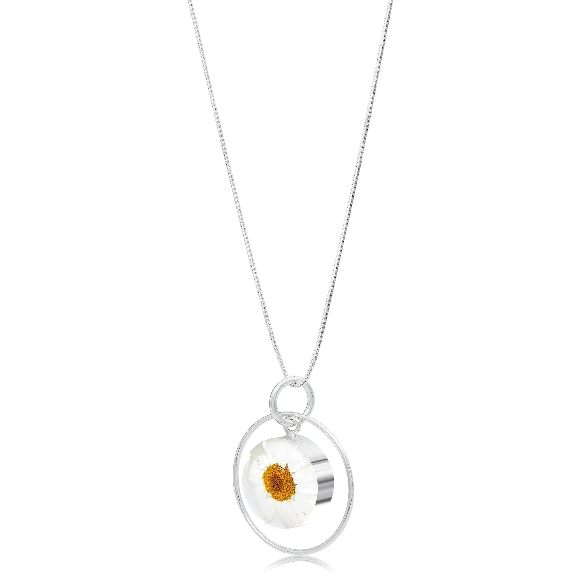 Collier pendentif Marguerite blanche réelle – Pendentif cercle en argent sterling