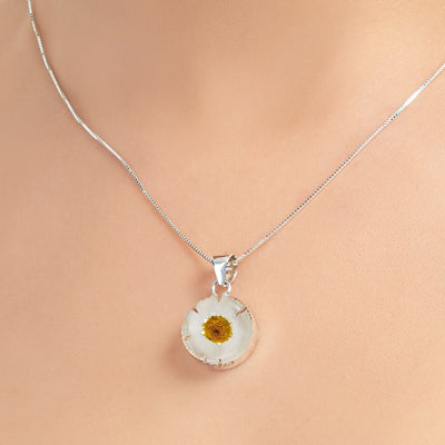 Silver necklace with a pendant featuring a real daisy