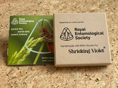 Boucles d'oreilles papillon par Shrieking Violet® Boucles d'oreilles pendantes en argent sterling avec de véritables fleurs de myosotis. Bijoux idéaux pour les amateurs de papillons